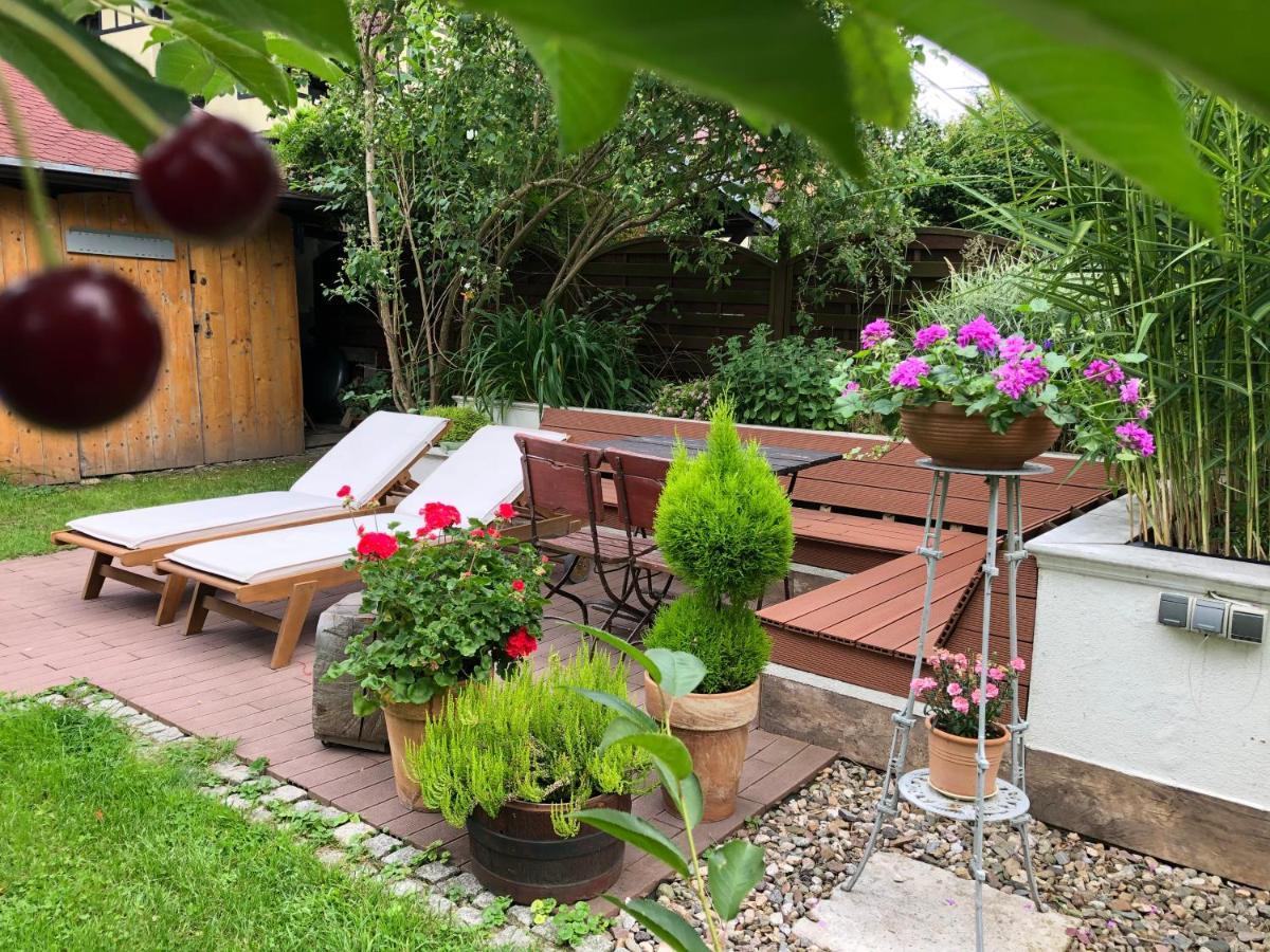 Apartamento Jodla I Modrzew Jelenia Góra Exterior foto