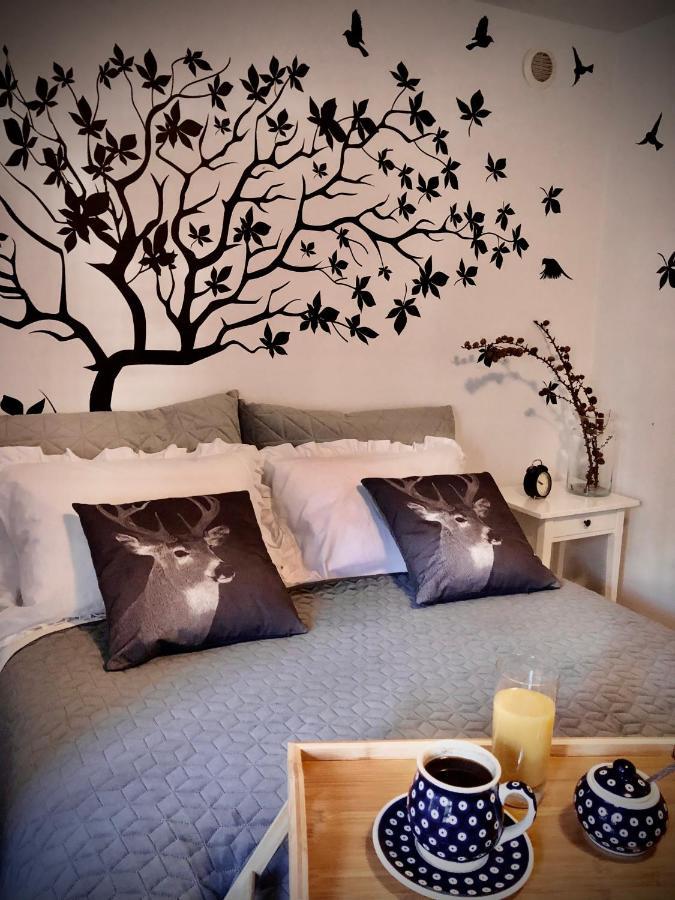 Apartamento Jodla I Modrzew Jelenia Góra Exterior foto