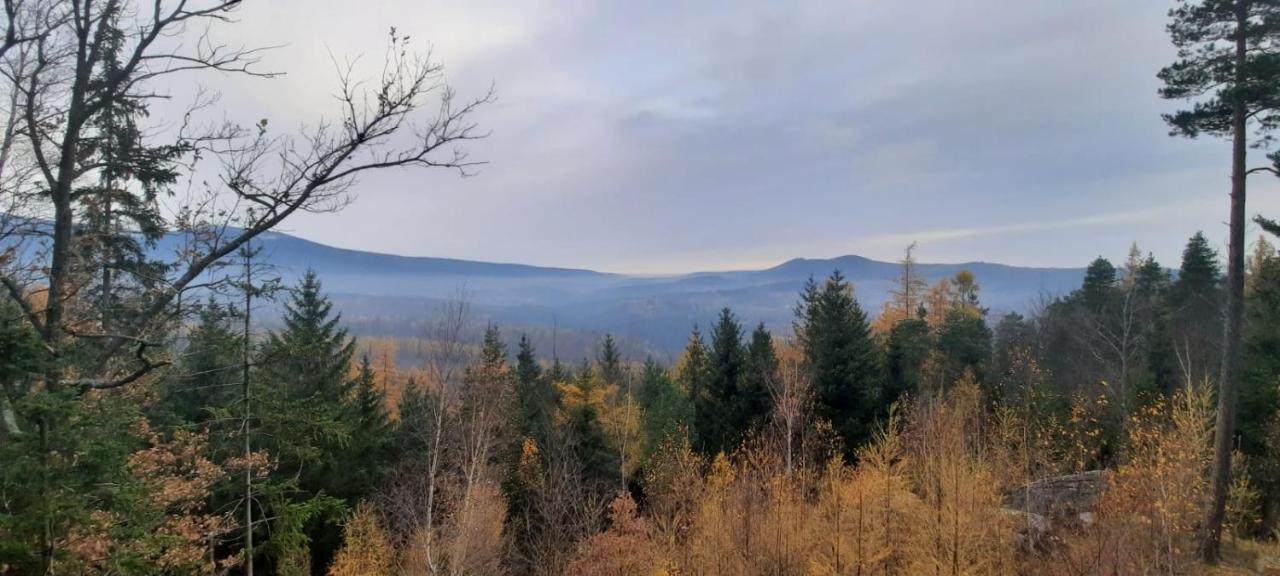 Apartamento Jodla I Modrzew Jelenia Góra Exterior foto